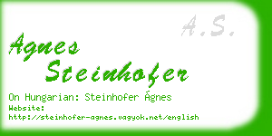 agnes steinhofer business card